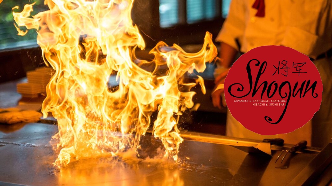 Shogun-3